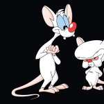 Pinky And The Brain background