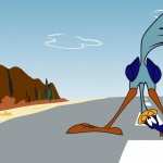 Wile E. Coyote And The Road Runner hd wallpaper