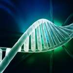DNA Structure hd photos
