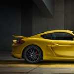 Porsche Cayman GT4 pic