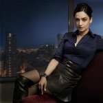 The Good Wife high quality wallpapers
