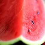 Watermelon free download