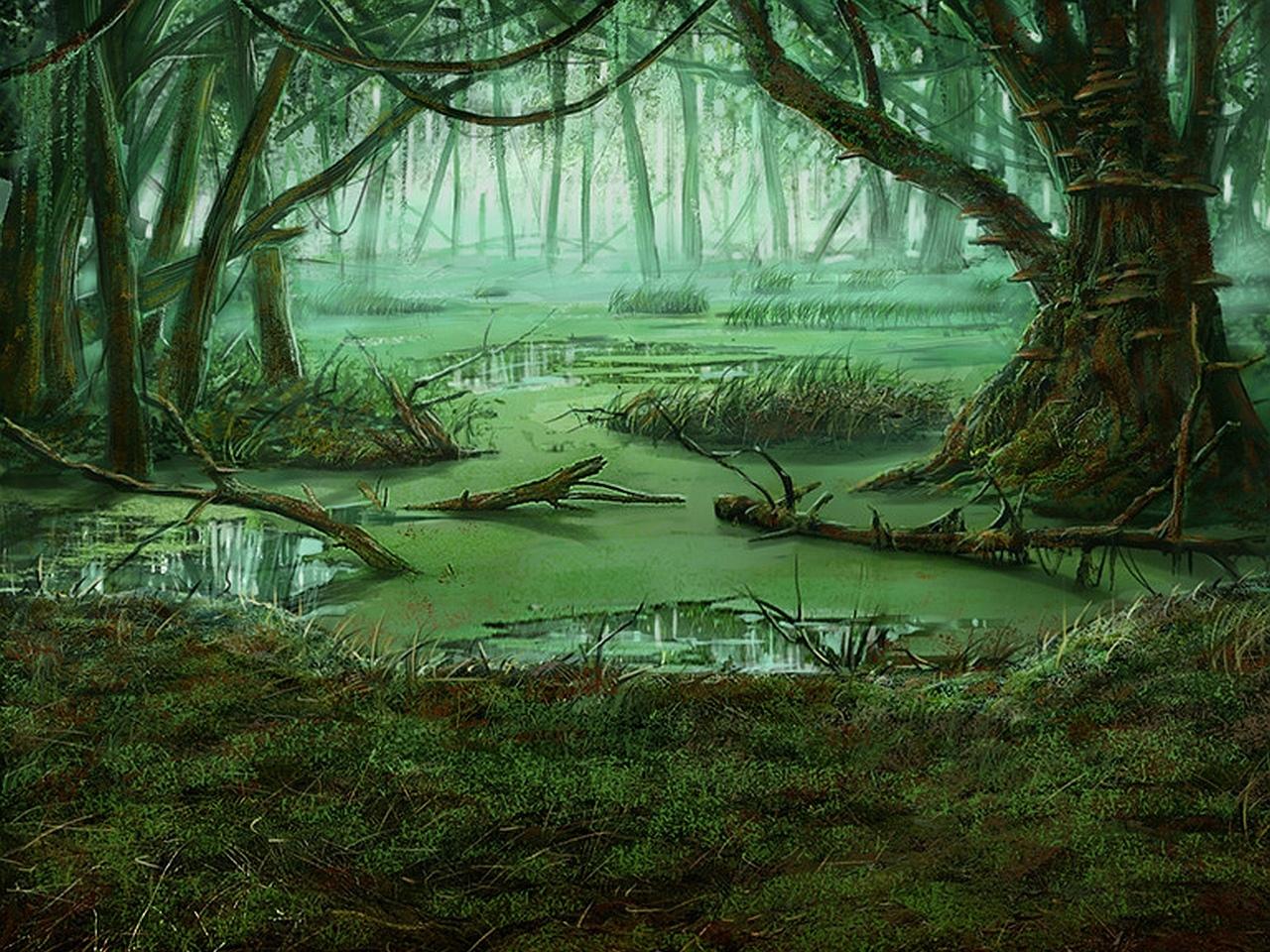 10_swamp.jpg