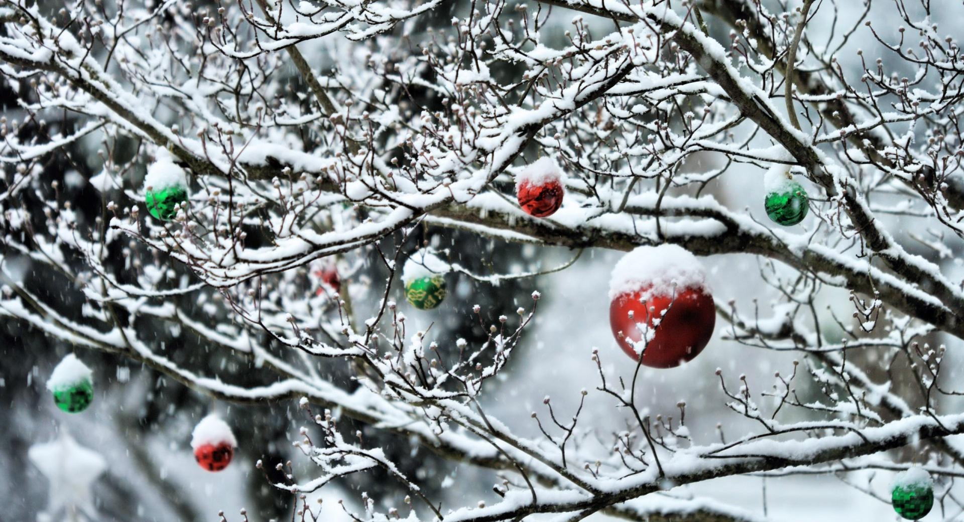 Decorated Tree Branches at 640 x 1136 iPhone 5 size wallpapers HD quality