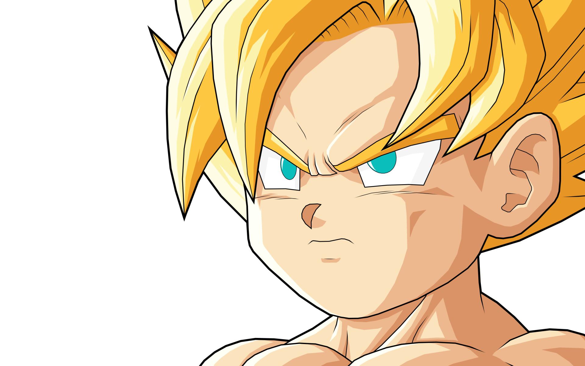 Dragon Ball GT at 1600 x 1200 size wallpapers HD quality