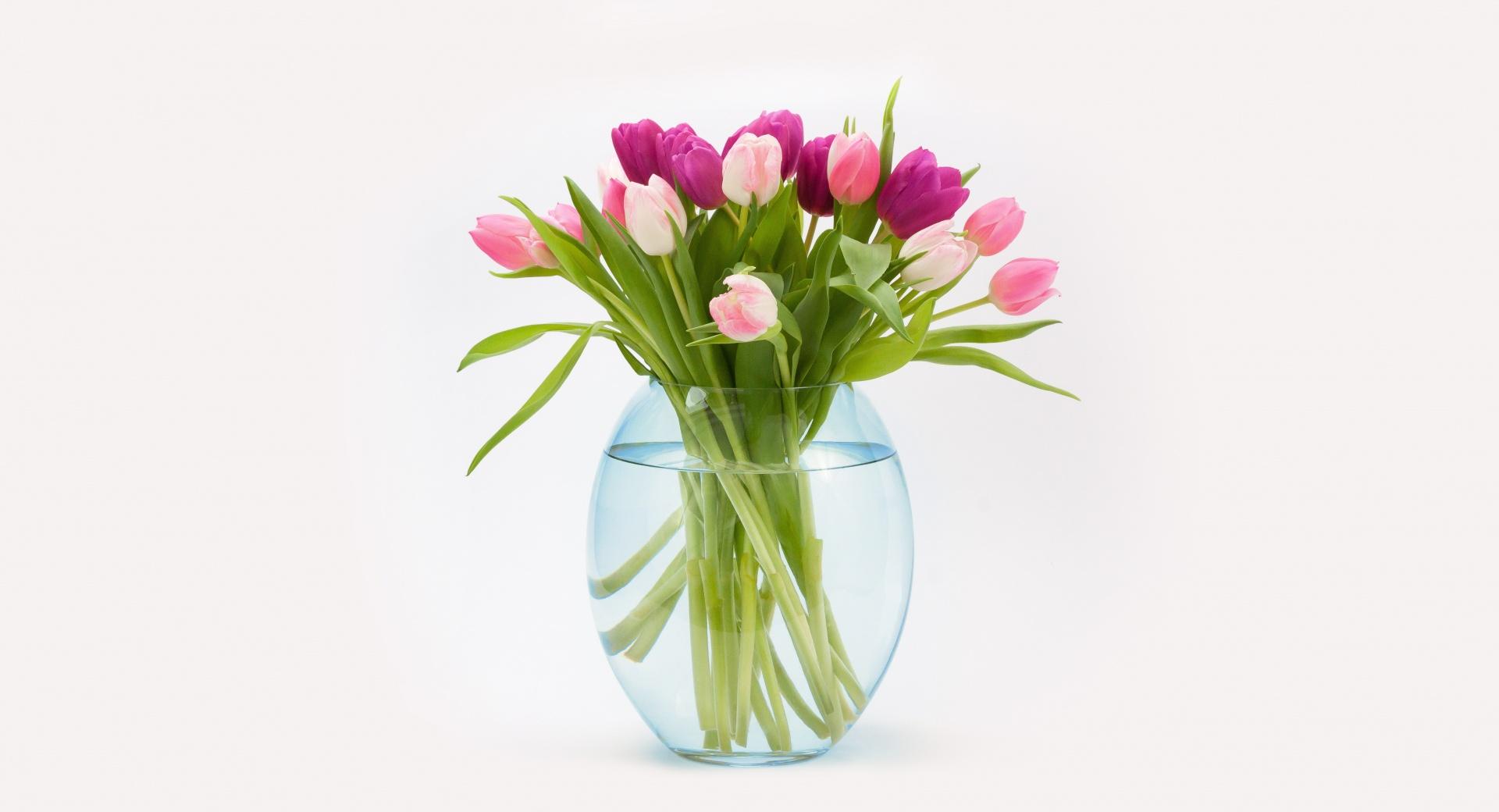 Easter Tulips Flowers Bouquet in a Vase wallpapers HD quality