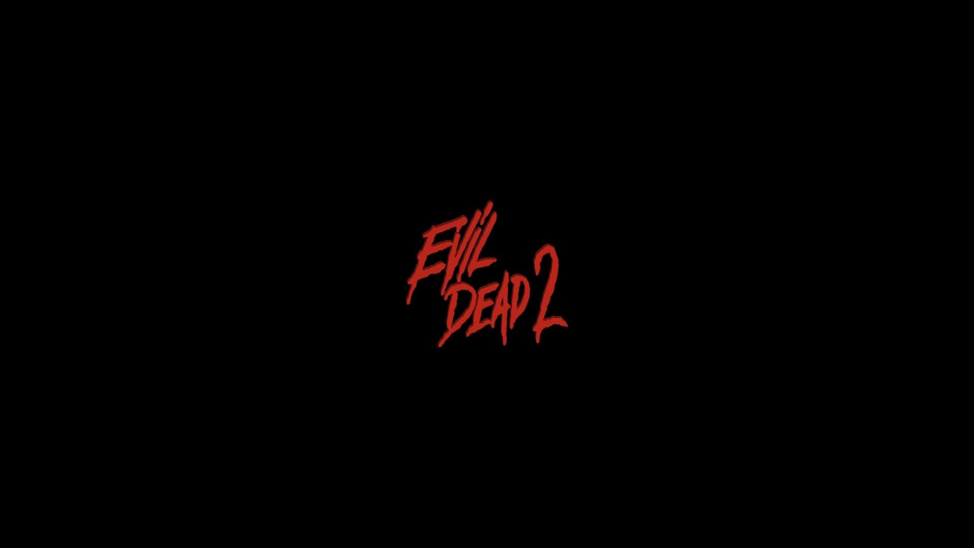 Evil Dead II at 1024 x 1024 iPad size wallpapers HD quality