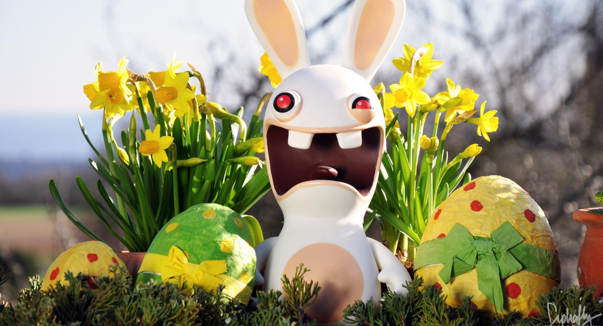 Funny Easter Bunny at 1600 x 1200 size wallpapers HD quality