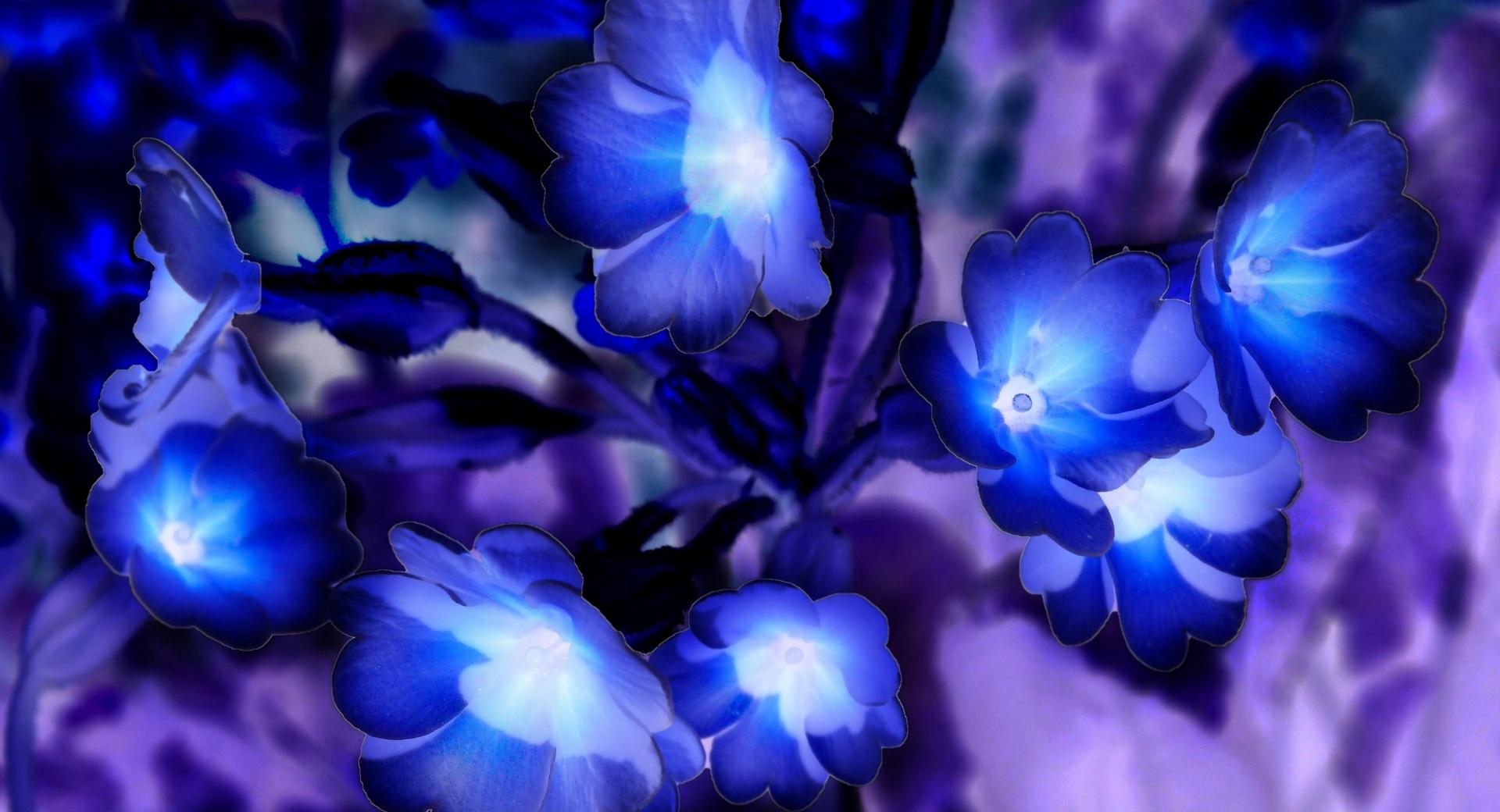 Glowing Flowers inspired by Avatar at 750 x 1334 iPhone 6 size wallpapers HD quality