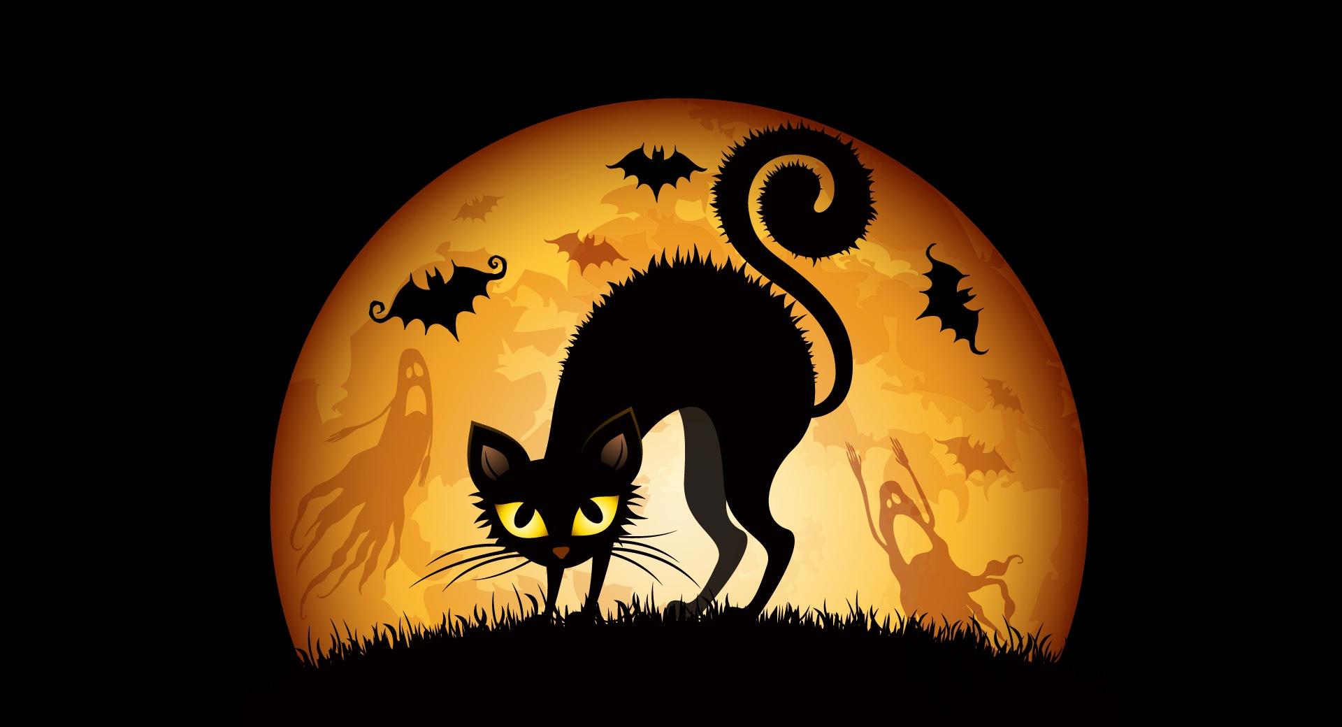 Halloween 2012 at 1024 x 1024 iPad size wallpapers HD quality