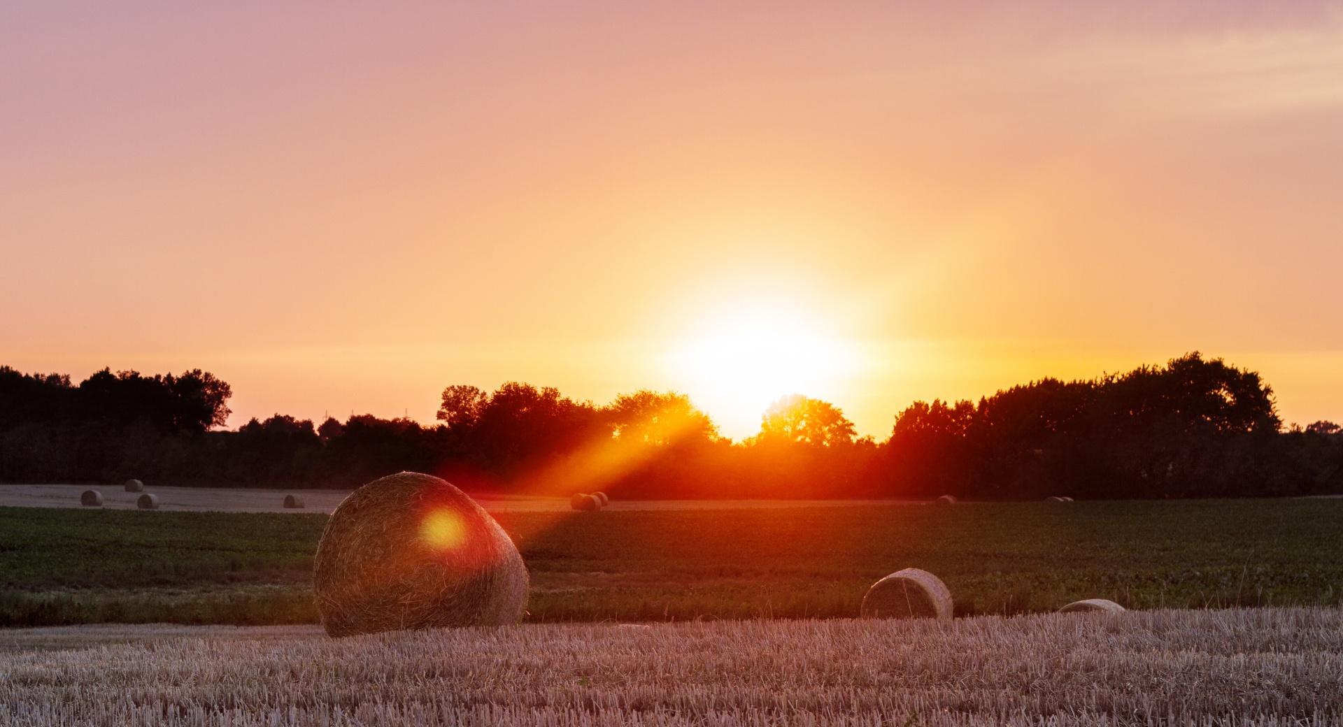 Harvest Sun at 750 x 1334 iPhone 6 size wallpapers HD quality
