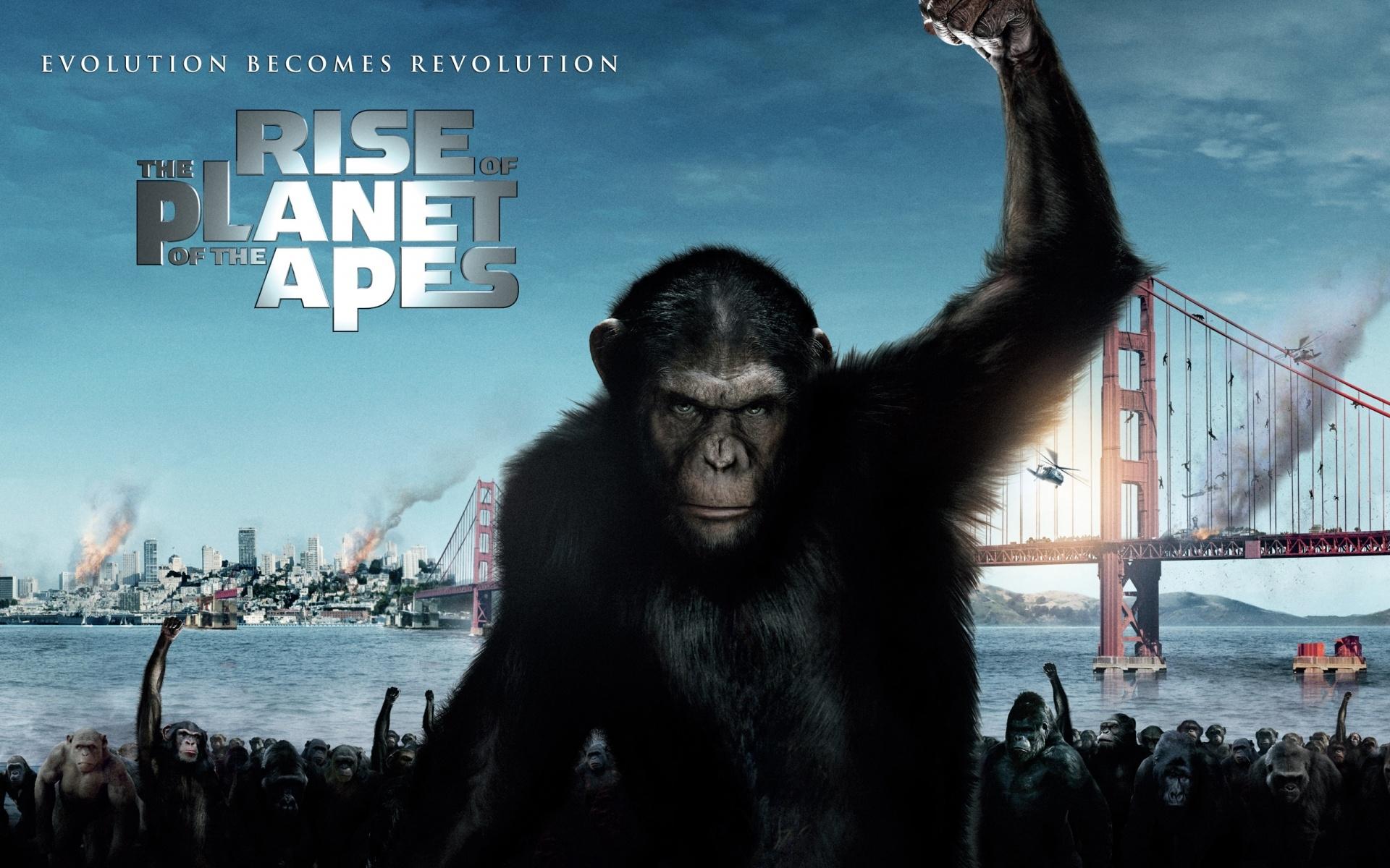 Rise Of The Planet Of The Apes at 1600 x 1200 size wallpapers HD quality