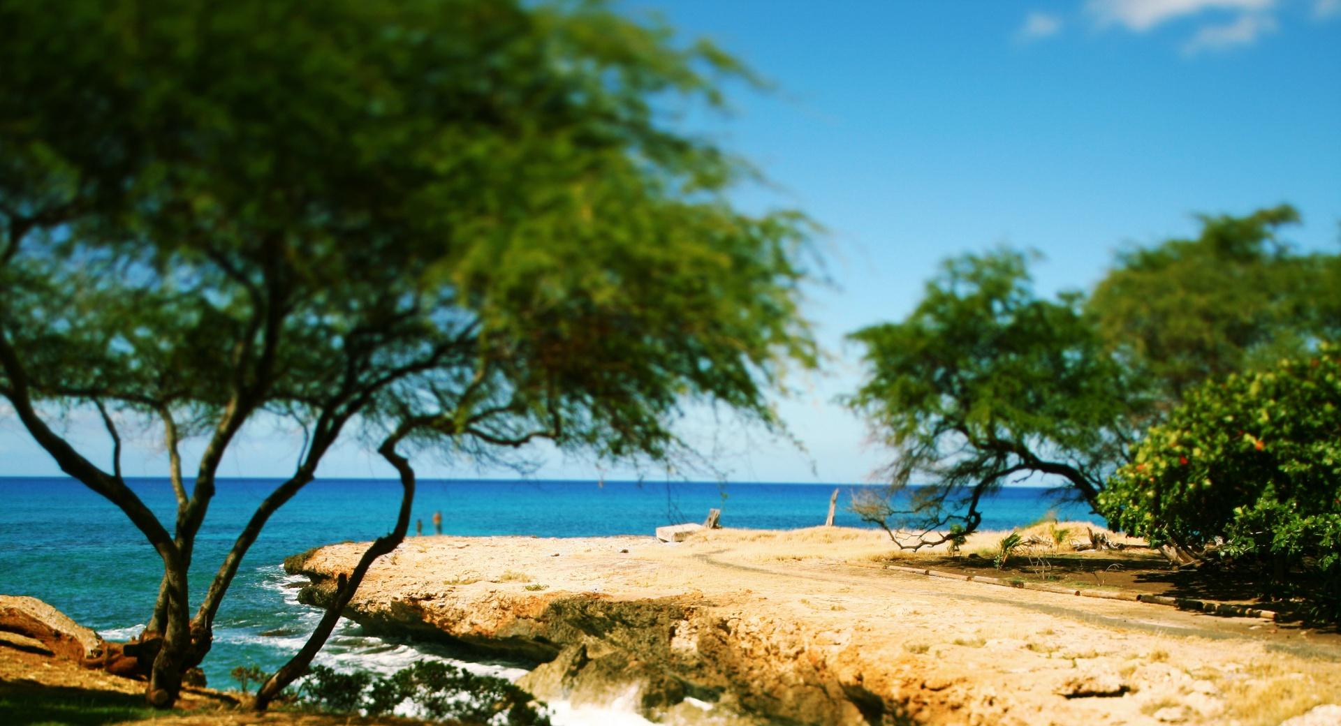 Shore Tilt-Shift at 640 x 1136 iPhone 5 size wallpapers HD quality
