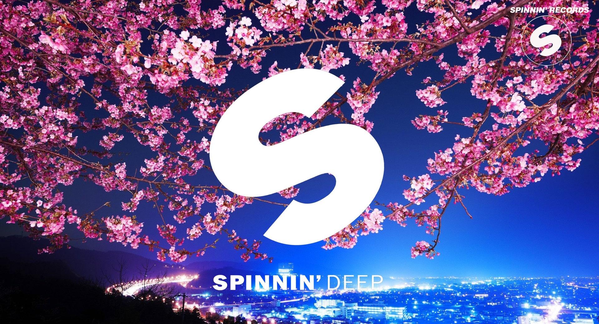 SPINNIN RECORDS at 640 x 960 iPhone 4 size wallpapers HD quality