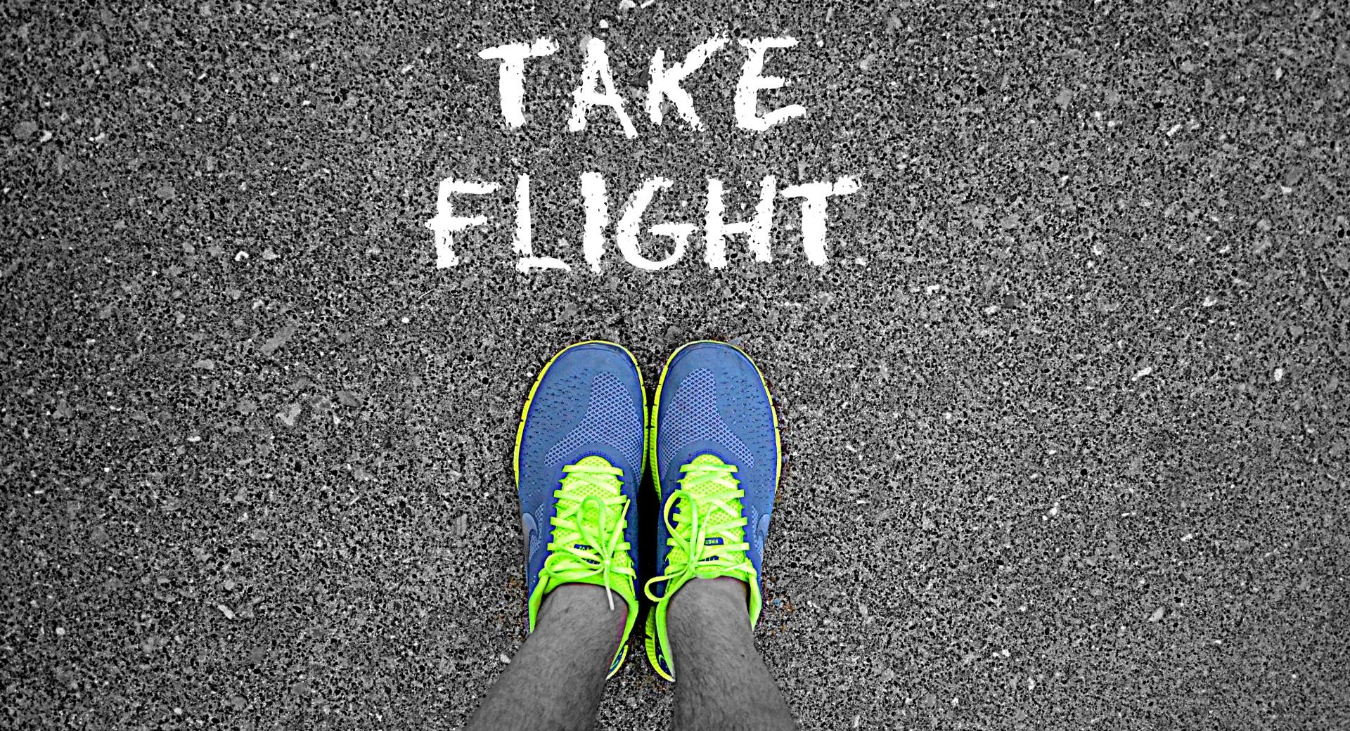 Take Flight at 1280 x 960 size wallpapers HD quality