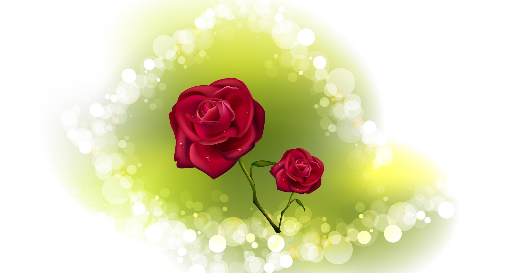 Valentine Roses wallpapers HD quality