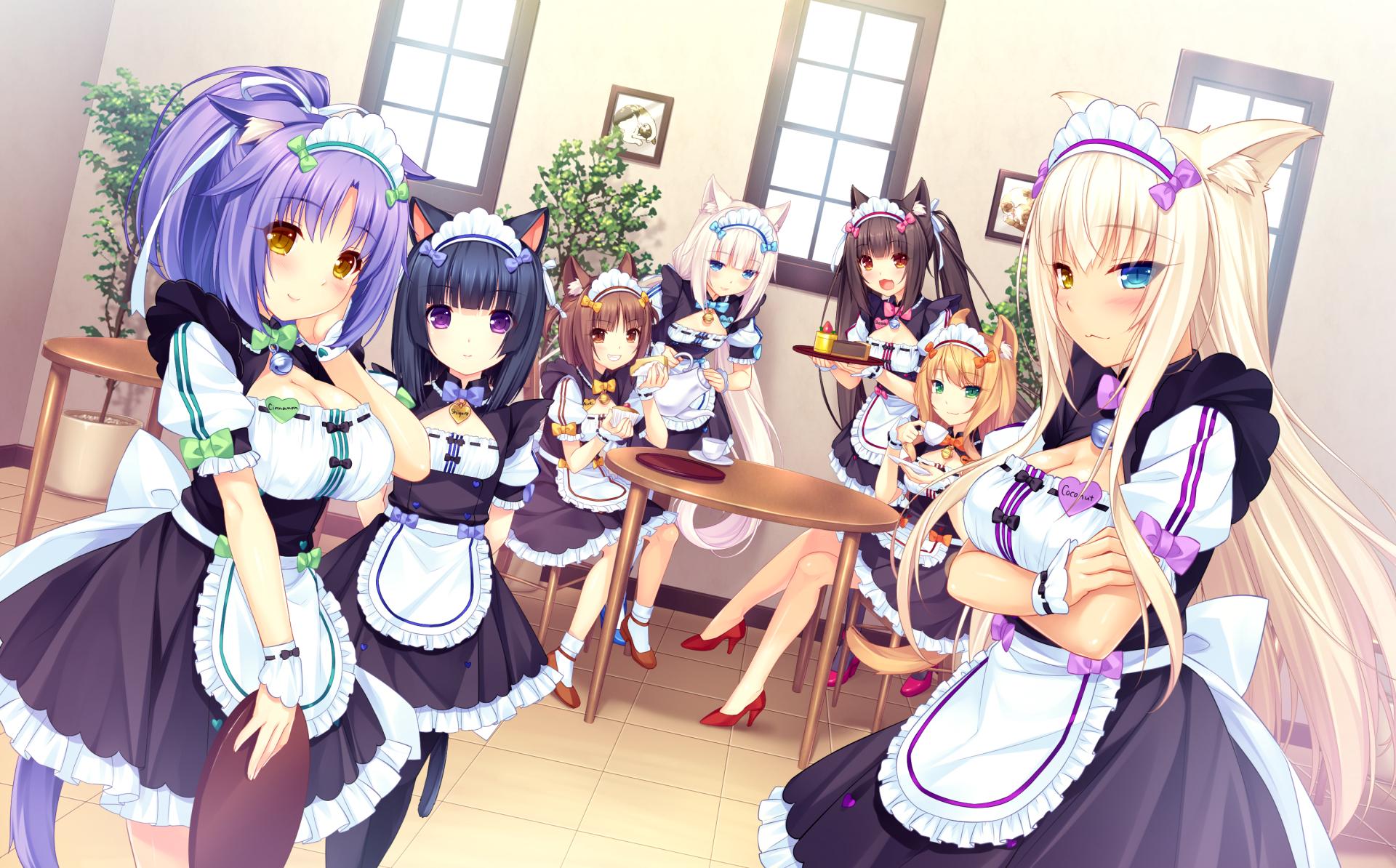 nekopara download