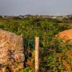 Alderney Stone photo