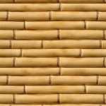 Bamboo 1080p