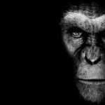 Rise Of The Planet Of The Apes wallpapers
