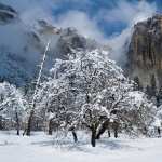 Yosemite National Park pic