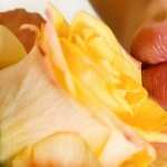 Lips Women hd wallpaper