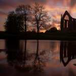 Bolton Priory images