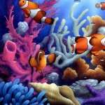 Clownfish PC wallpapers