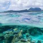 Underwater wallpapers for android