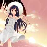 Accel World images