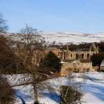 Bolton Priory free wallpapers