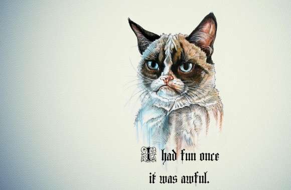 I Had Fun Once It Was Awful Cat wallpapers hd quality