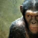 Rise Of The Planet Of The Apes pics