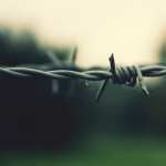 Barb Wire image