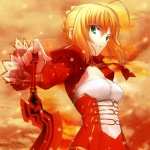 Fate Extra high definition photo