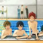 Free! free wallpapers