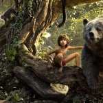 The Jungle Book (2016) high definition photo