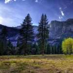 Yosemite National Park 2017