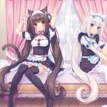 Nekopara new wallpapers