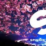 SPINNIN RECORDS wallpapers