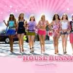 The House Bunny wallpapers