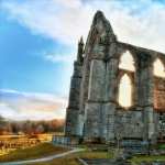 Bolton Priory background