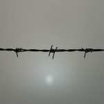 Barb Wire images