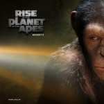 Rise Of The Planet Of The Apes wallpapers for iphone