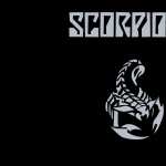 Scorpions hd wallpaper