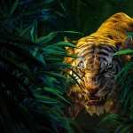 The Jungle Book (2016) high definition wallpapers