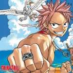 Fairy Tail download