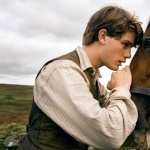 War Horse wallpapers