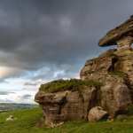 Bunnet Stane wallpapers for android