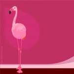 Flamingo new wallpapers